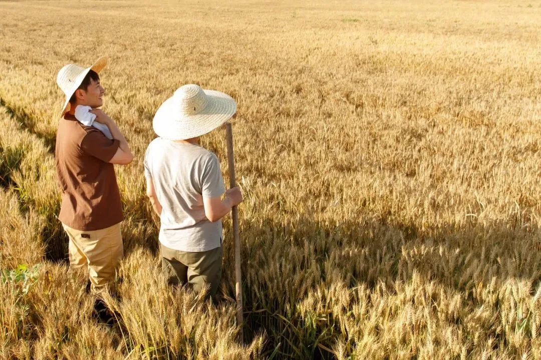 F017A928A28BE7A5BE1A50AA6EF_8505FA88_35605