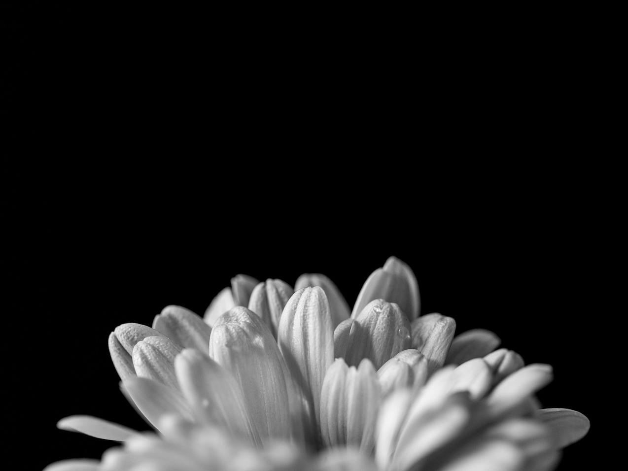 MG������Ϸ(�й�����)�ٷ���վ