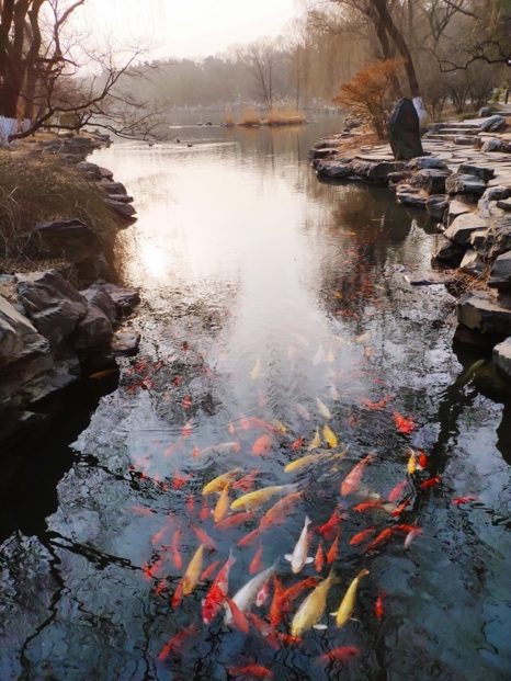 MG电子游戏(中国集团)官方网站