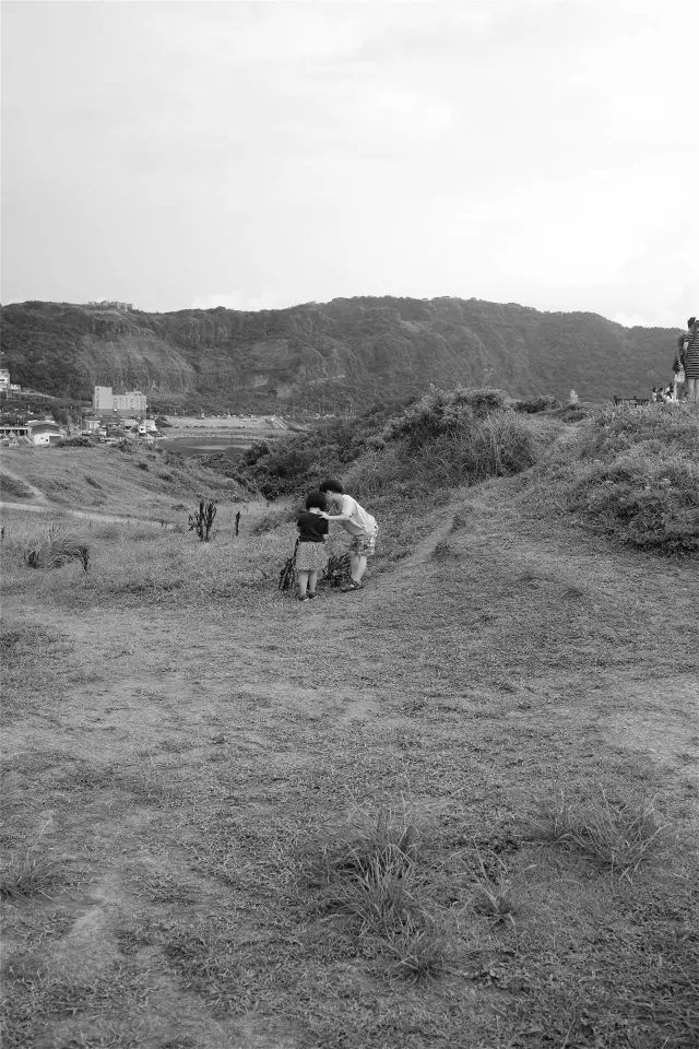 MG电子游戏(中国集团)官方网站