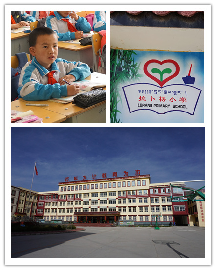 MG电子游戏(中国集团)官方网站