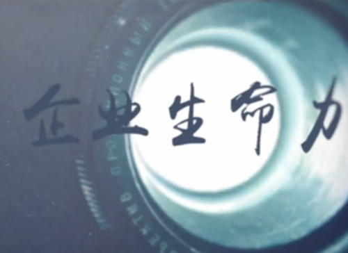 MG电子游戏微课堂《刘学：：什么决议企业的生命力》