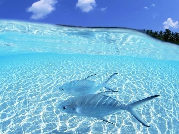 MG电子游戏(中国集团)官方网站