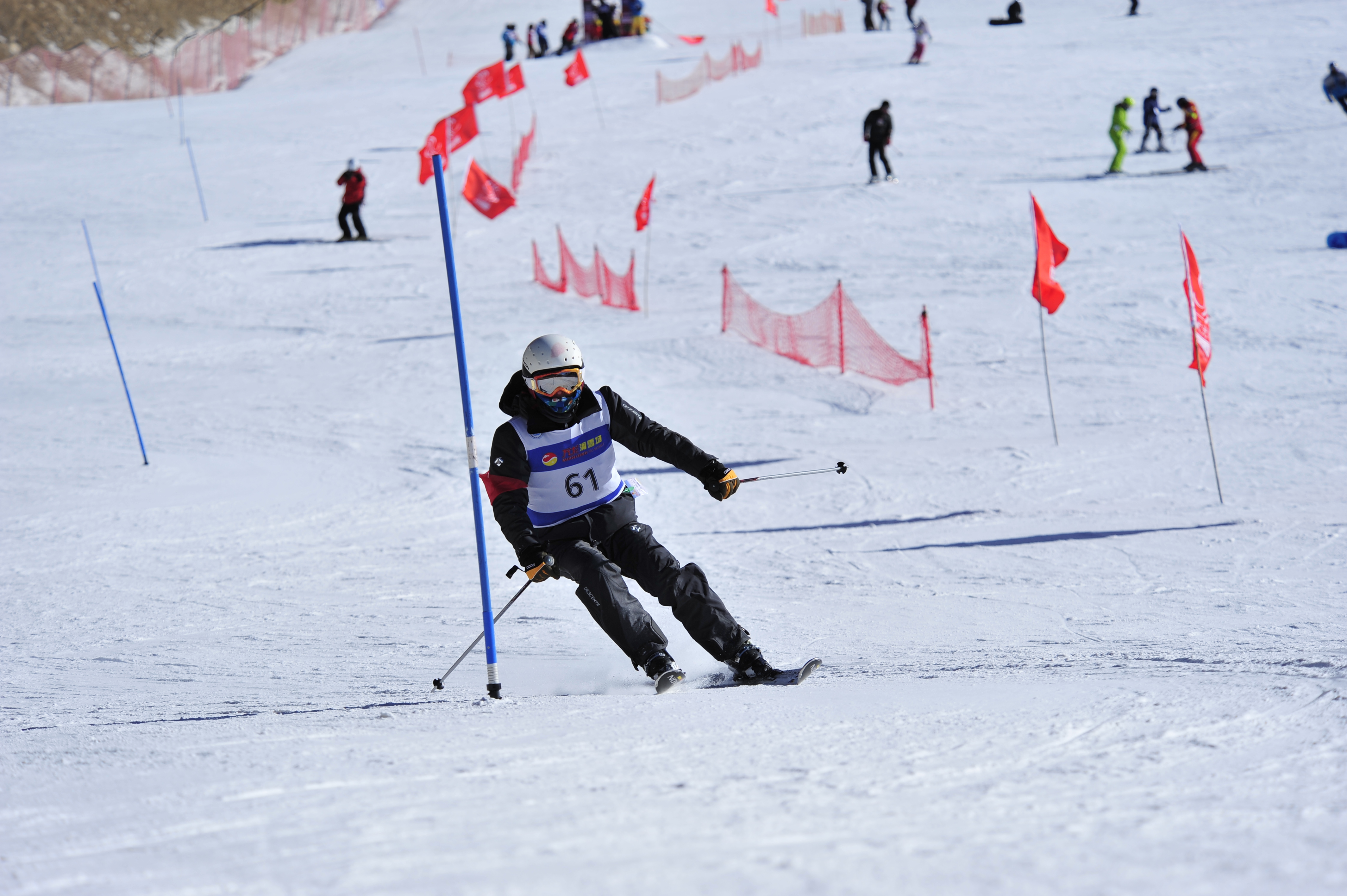 MG电子游戏(中国集团)官方网站