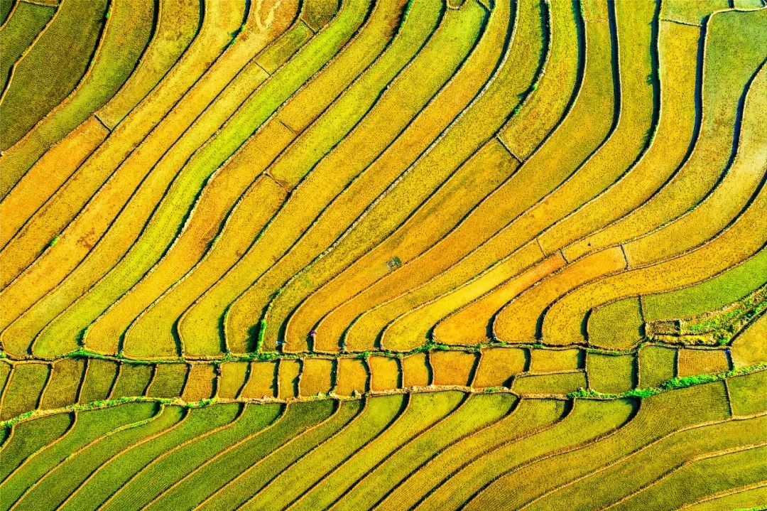 在印度做的这场实验，，，适合中国吗？？丨MG电子游戏头脑力夏日论坛