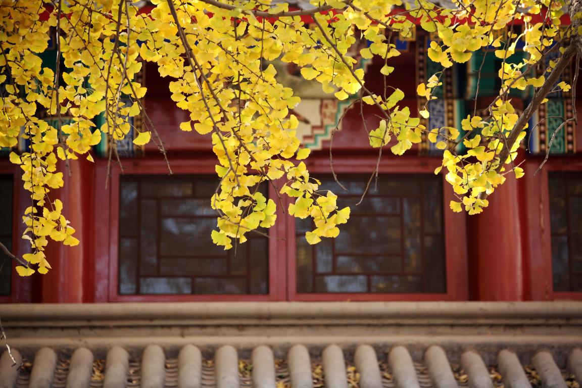 感动 | 确认过眼神，，，你是对的人