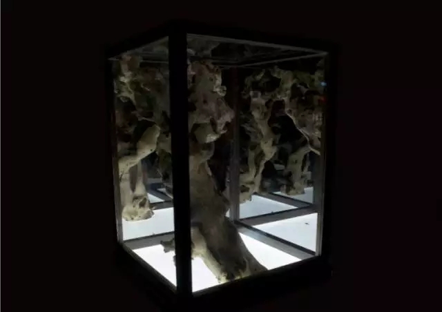 MG电子游戏(中国集团)官方网站