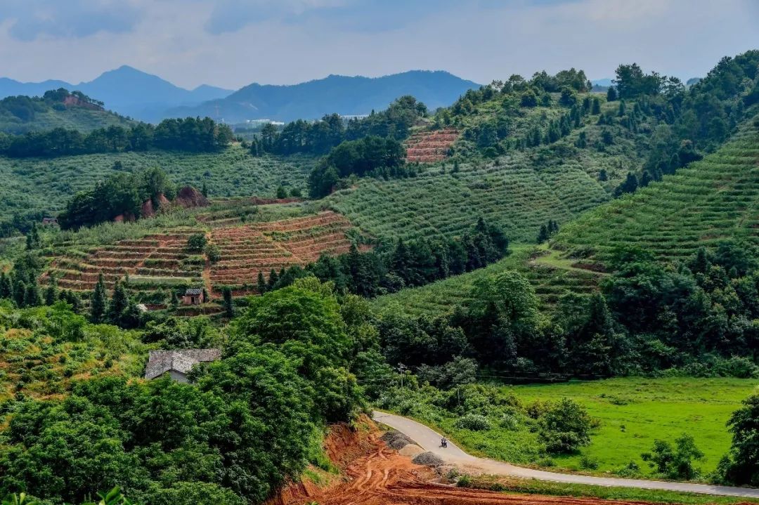 MG������Ϸ(�й�����)�ٷ���վ