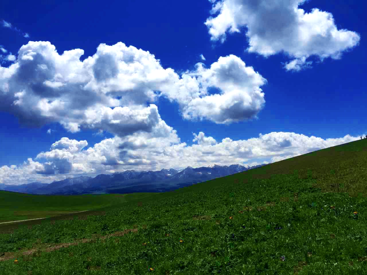 MG电子游戏(中国集团)官方网站