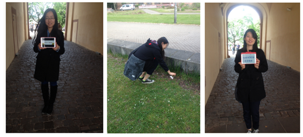 MG电子游戏(中国集团)官方网站