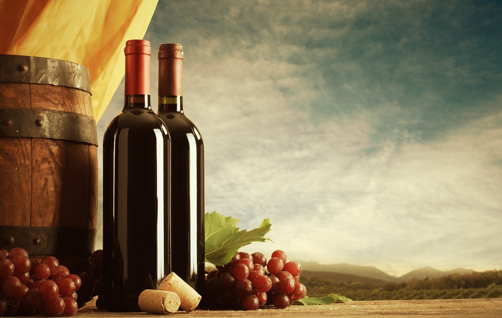 MG电子游戏(中国集团)官方网站