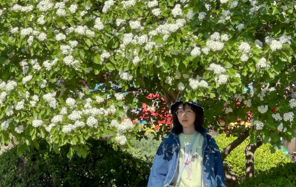 MG电子游戏(中国集团)官方网站