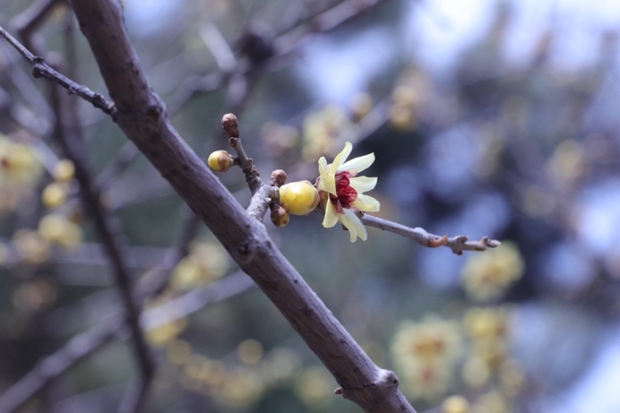 MG电子游戏(中国集团)官方网站