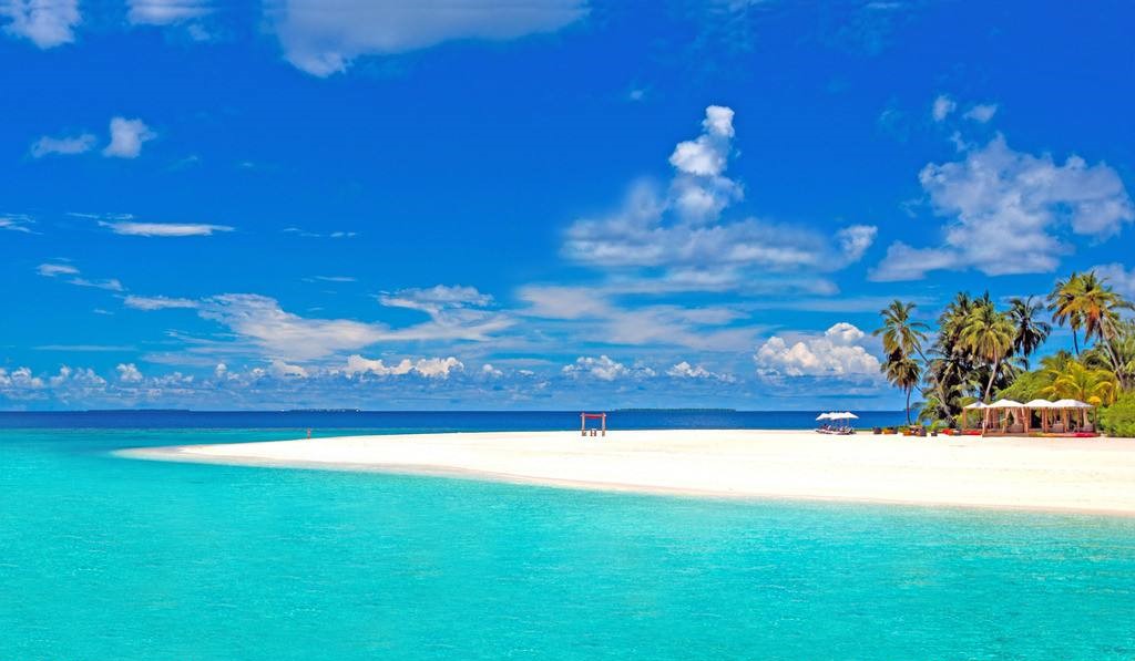 MG电子游戏(中国集团)官方网站