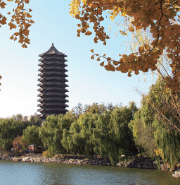 MG电子游戏(中国集团)官方网站