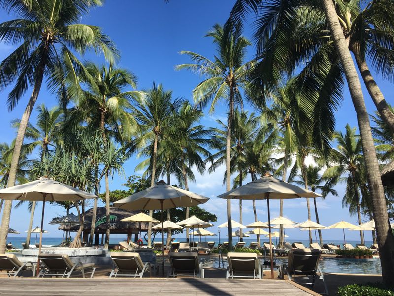 MG电子游戏(中国集团)官方网站