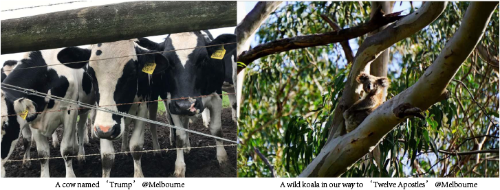 C2882703B95098A51653AFCEA06_13751E8B_6A695