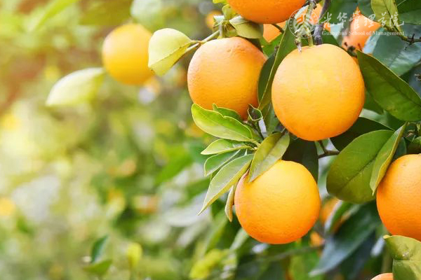 MG电子游戏(中国集团)官方网站