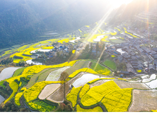 雷明：年轻人，，回到家乡，，让家乡重生