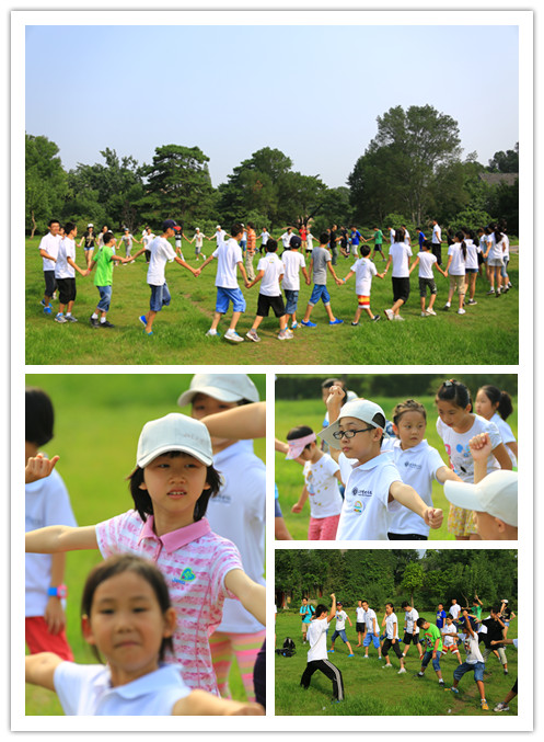 MG电子游戏(中国集团)官方网站