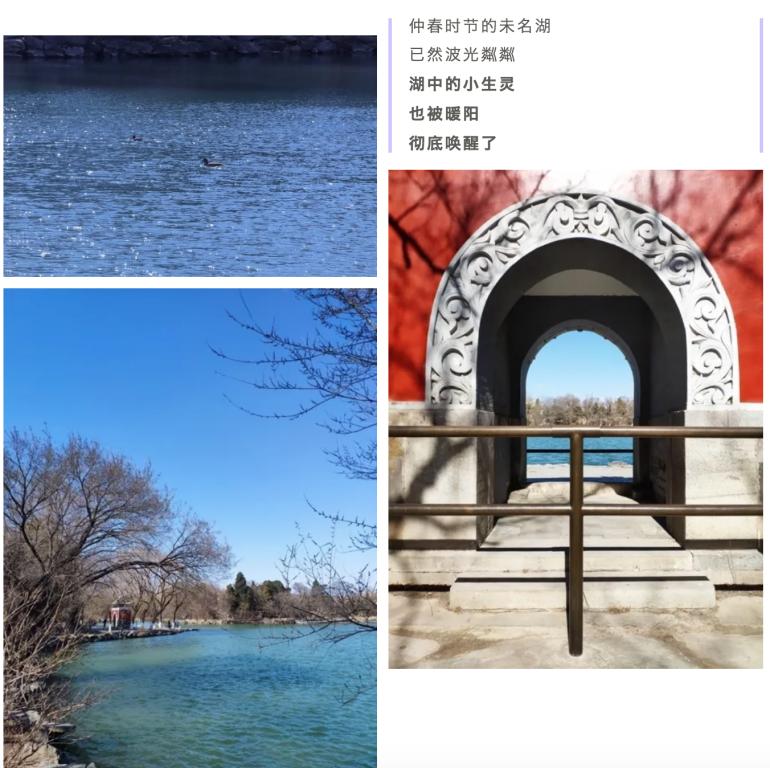 MG电子游戏(中国集团)官方网站