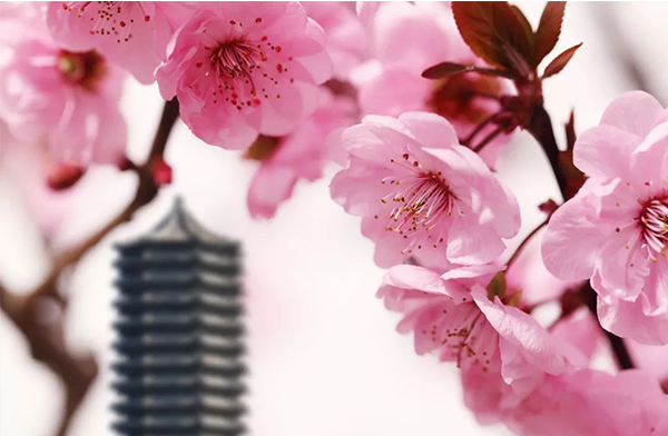 MG电子游戏(中国集团)官方网站