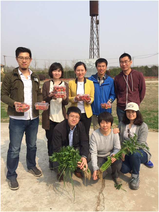 MG电子游戏(中国集团)官方网站