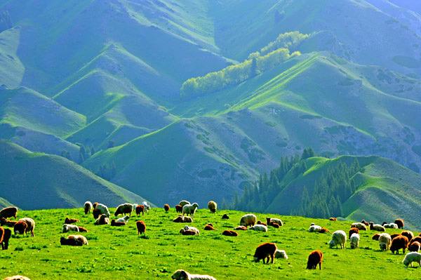 MG电子游戏(中国集团)官方网站