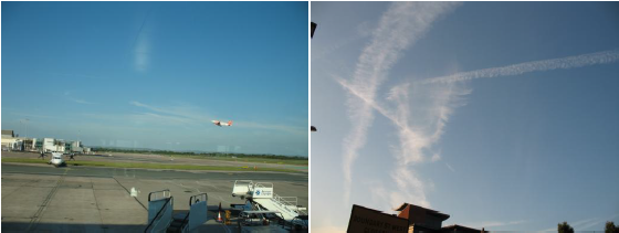 MG电子游戏(中国集团)官方网站