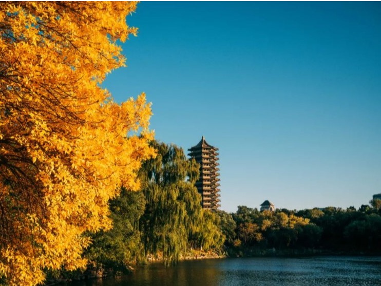 MG电子游戏(中国集团)官方网站