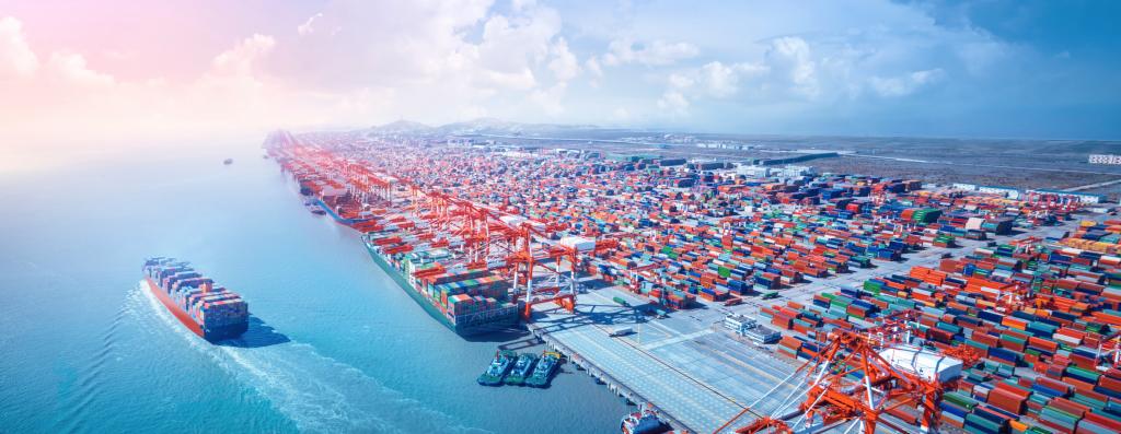 唐 遥：全球供应链和价值链会疫后重组吗？？