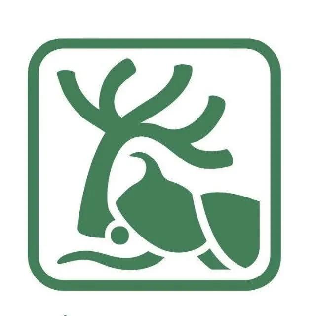 D08E0CC5D6DF761D455EEE0F10E_73CD3E9E_6C06