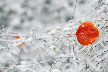 MG电子游戏(中国集团)官方网站