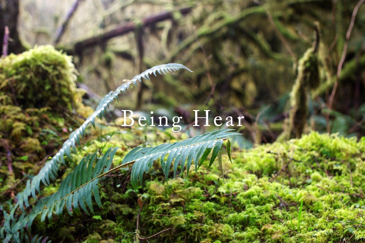 MG电子游戏(中国集团)官方网站