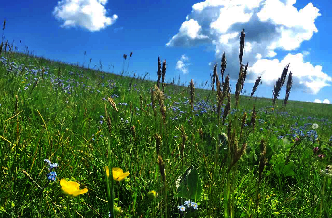 MG电子游戏(中国集团)官方网站