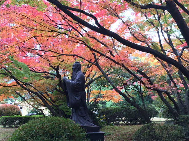 MG电子游戏(中国集团)官方网站