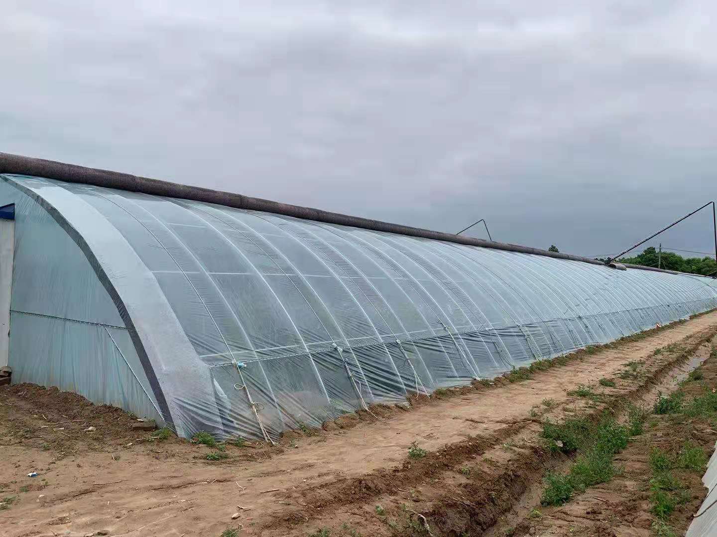 95EB5A8615BAEDCF57F4D5F75F9_56375FF8_2ABF7