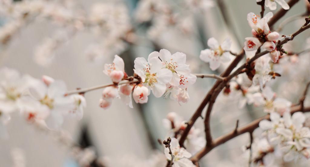 MG电子游戏(中国集团)官方网站