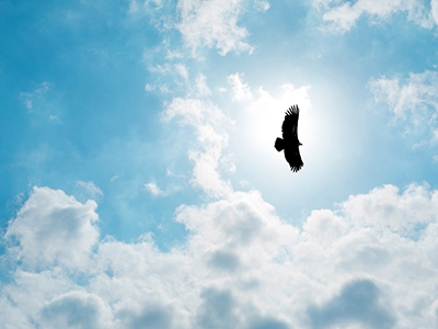 MG电子游戏(中国集团)官方网站