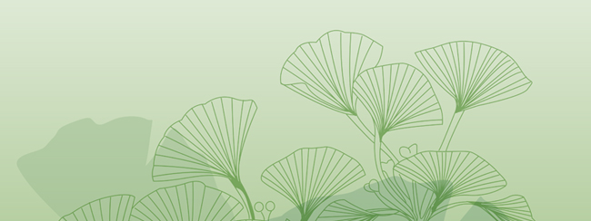 MG电子游戏(中国集团)官方网站