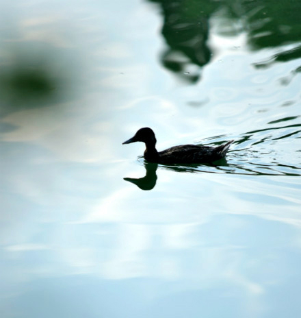 MG电子游戏(中国集团)官方网站