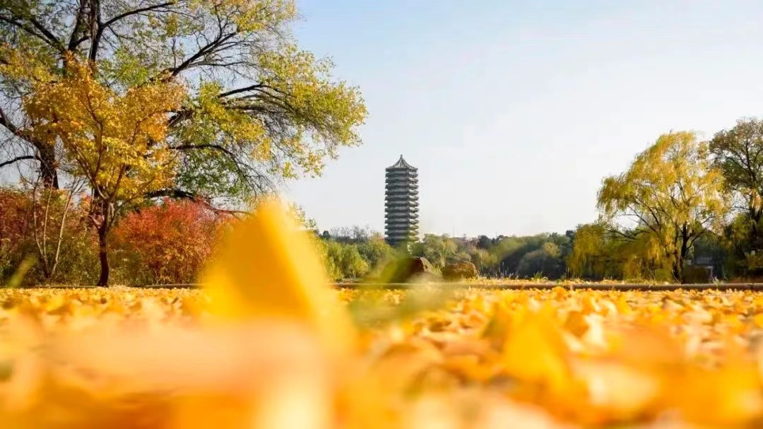 MG电子游戏(中国集团)官方网站