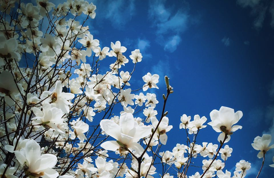 MG电子游戏(中国集团)官方网站