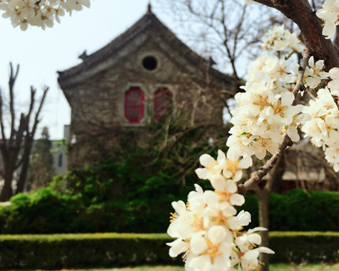 MG电子游戏(中国集团)官方网站