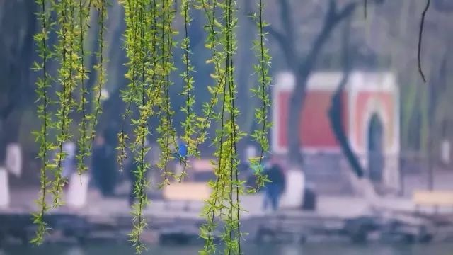 MG电子游戏(中国集团)官方网站