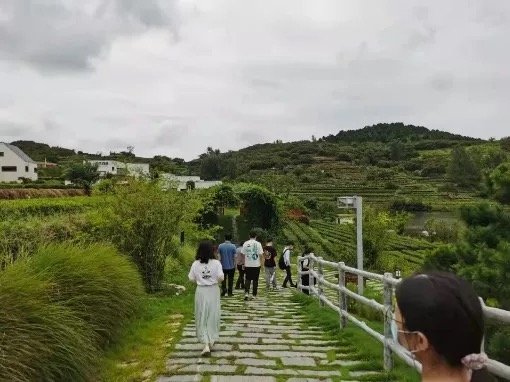 MG电子游戏(中国集团)官方网站