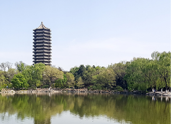 MG电子游戏头脑力果真课寓目指南