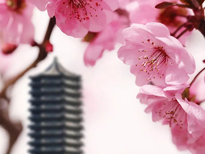 MG电子游戏(中国集团)官方网站